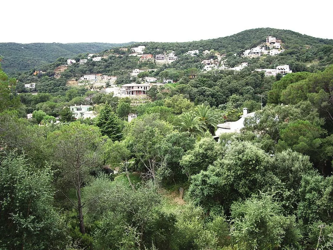 Parcela con fantásticas vistas a la montaña