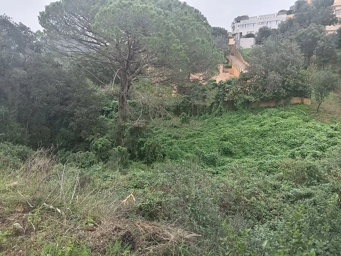 Oportunidad Única en Residencial Begur: Terreno de 932m  para Construir la Casa de tus Sueños