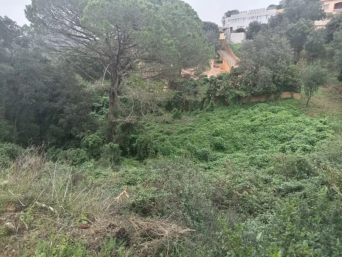 Oportunidad Única en Residencial Begur: Terreno de 932m  para Construir la Casa de tus Sueños