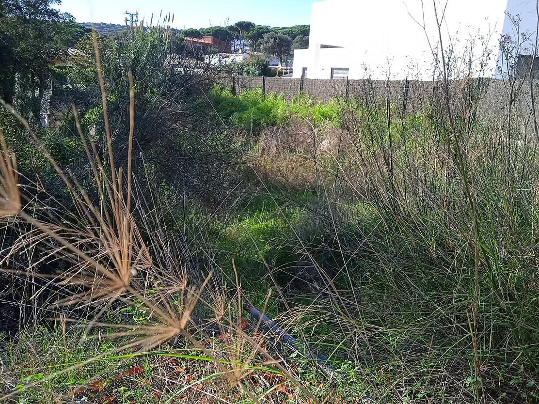 Parcel·la a la Urbanització Mas Pallí, Calonge - Costa Brava