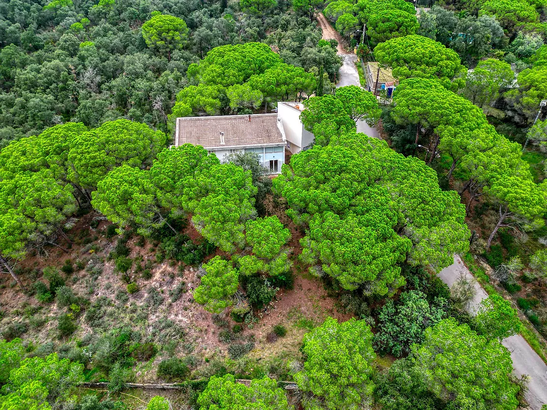 Xalet d'obra arquitectònica totalment integrat a la natura, zona Església. Santa Cristina d'Aro