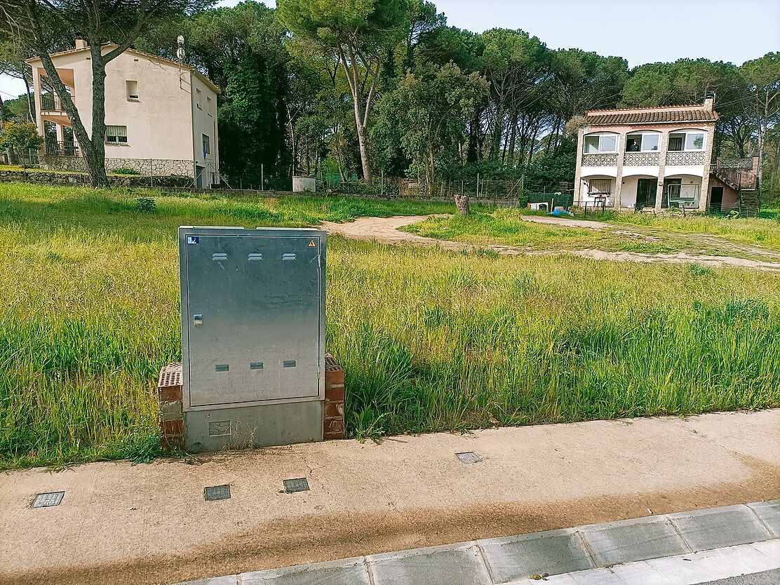 Parcel.la planera a La Canyera