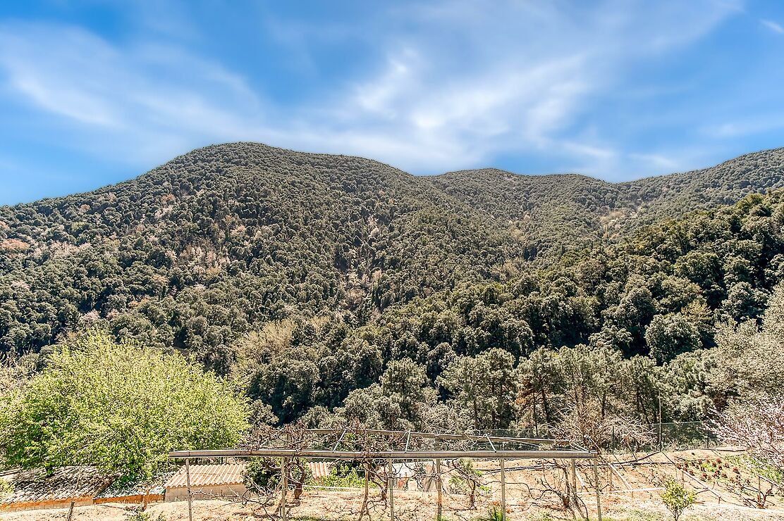 Spectacular Masia in Montnegre.