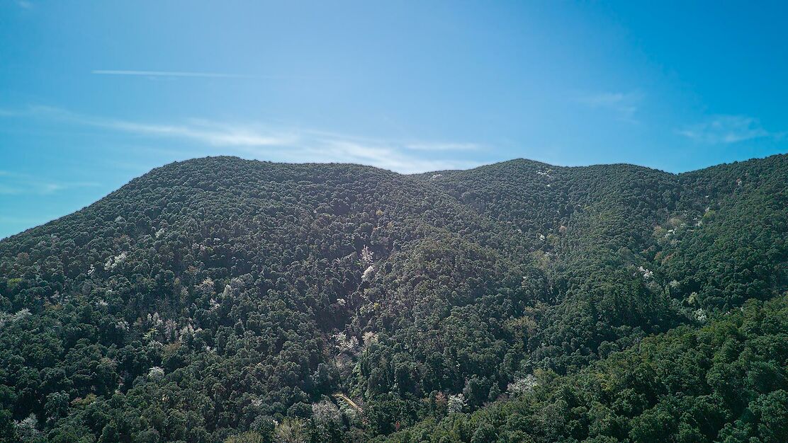 Spectaculaire Masia dans le Montnegre.