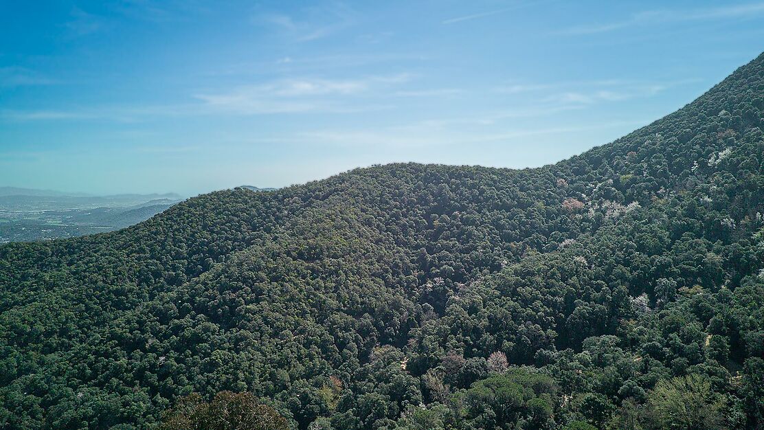 Spectacular Masia in Montnegre.