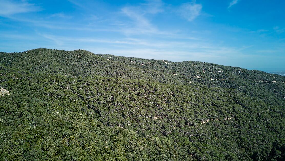 Spectaculaire Masia dans le Montnegre.