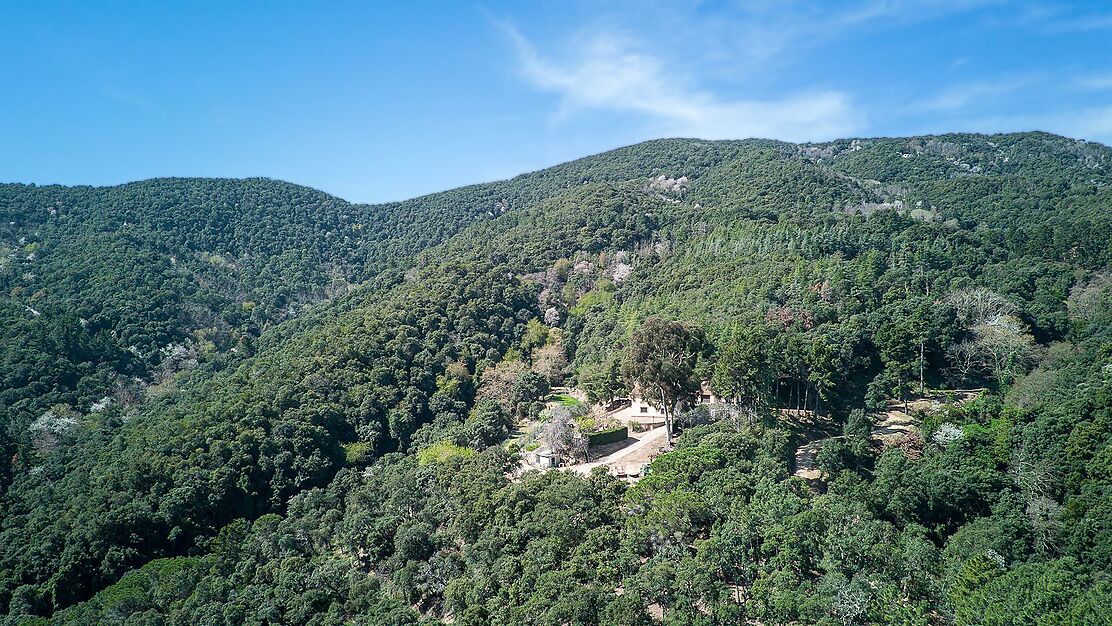 Spectaculaire Masia dans le Montnegre.