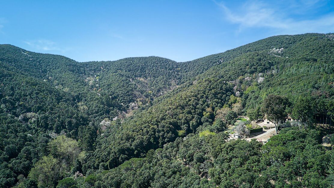 Spectaculaire Masia dans le Montnegre.