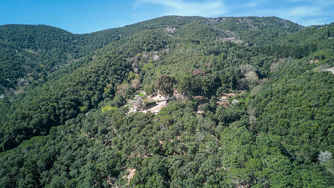 Spectaculaire Masia dans le Montnegre.