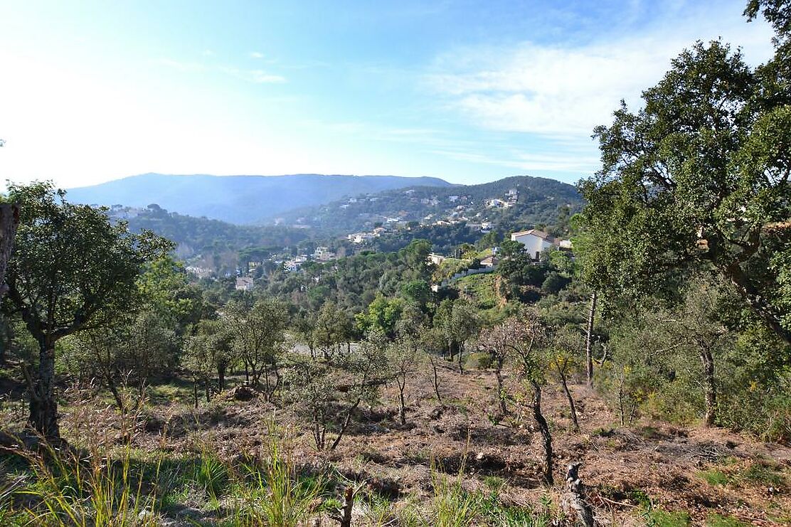 Terrain avec beaucoup de possibilités, grande surface. Idéal pour construire une maison sur plusieurs niveaux avec de grandes terrasses et une vue sur