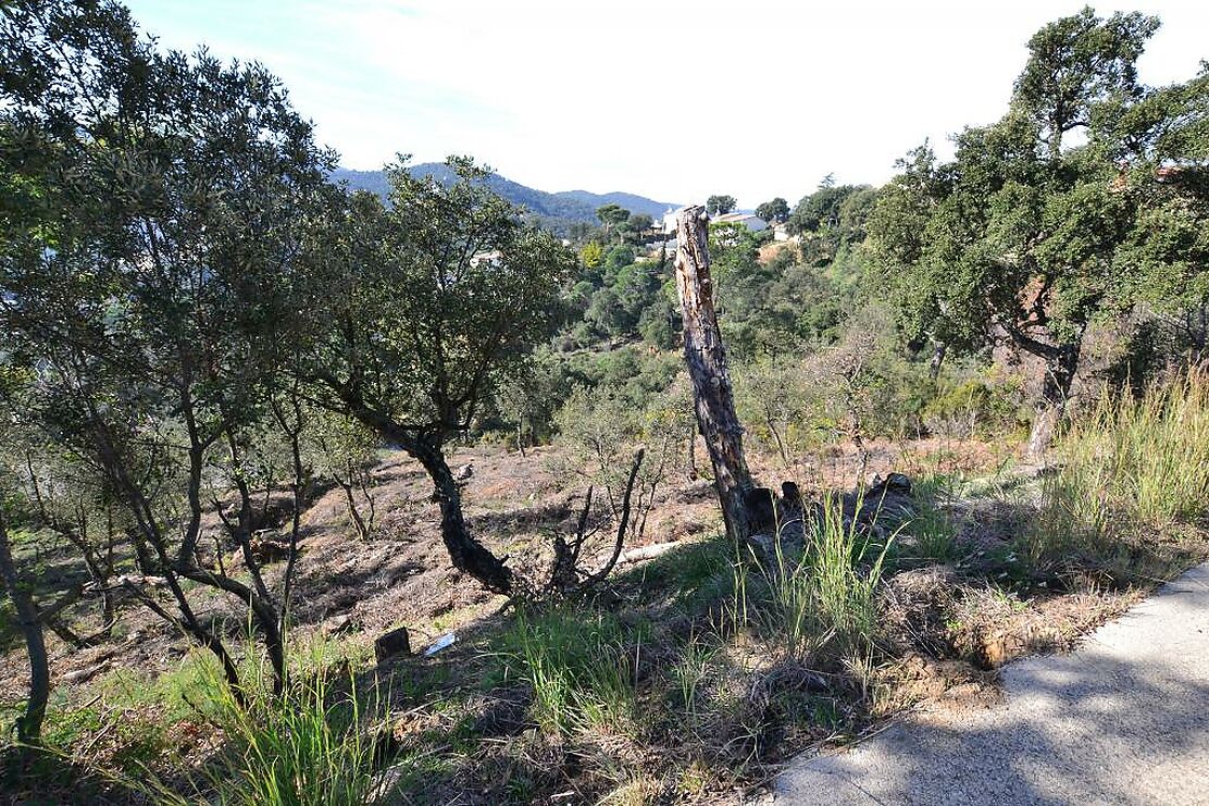 Parcel·la amb moltes possibilitats, àmplia superfície. Ideal per construir casa a diversos nivells amb àmplies terrasses i vistes a les Gavarres.