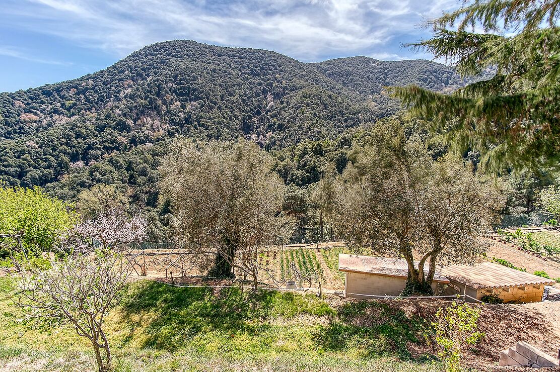 Spectaculaire Masia dans le Montnegre.