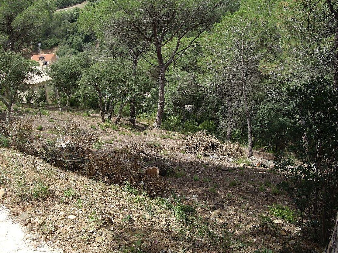 Plot with Mountain Views