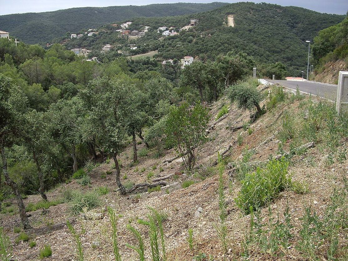 A la tranquilitat de la muntanya