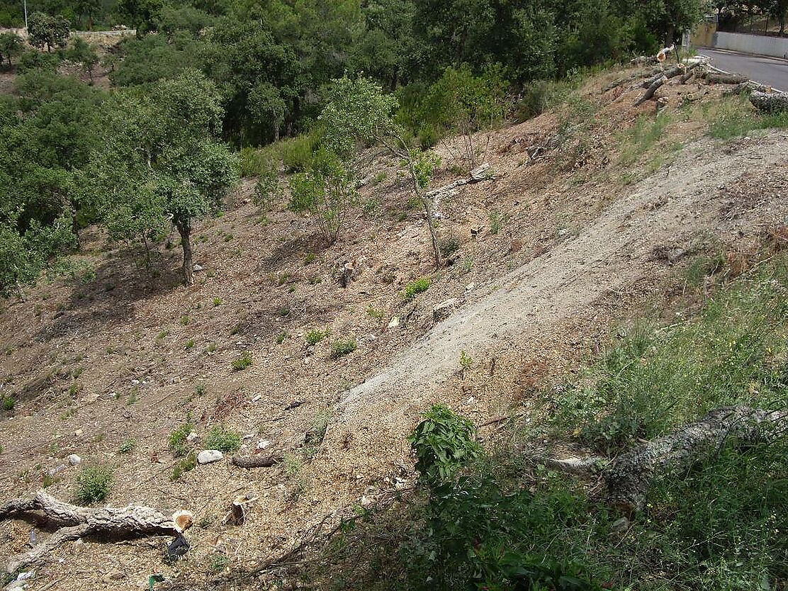 Parcela en zona muy tranquila