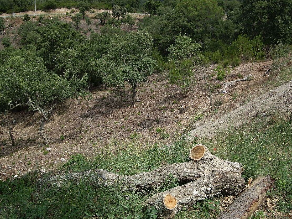 Parcela en zona muy tranquila