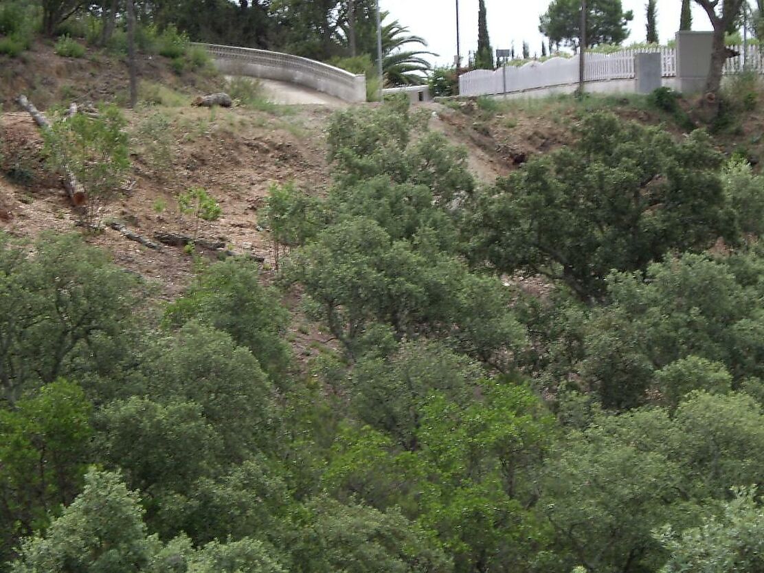 Parcela en zona muy tranquila